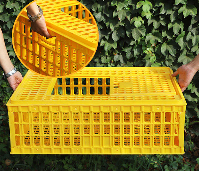 Chicken Cage Molds