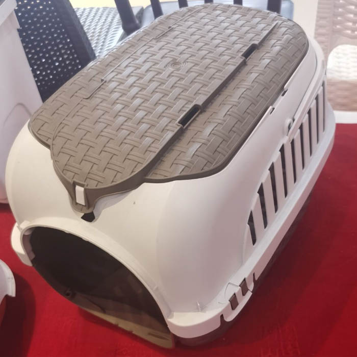 Plastic Pet Doghouse Mold